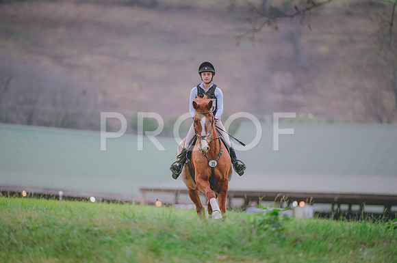 JJS_0969