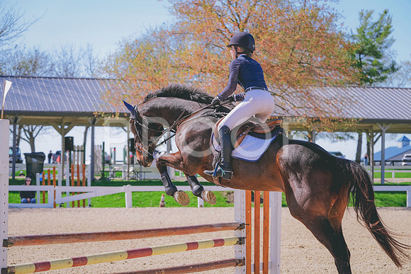 DSC00614