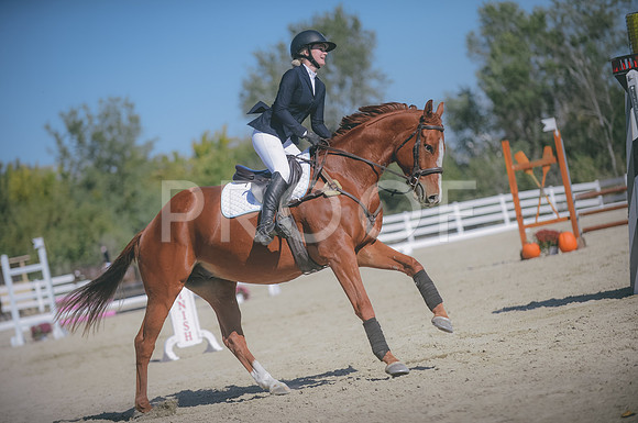 JJS_2980