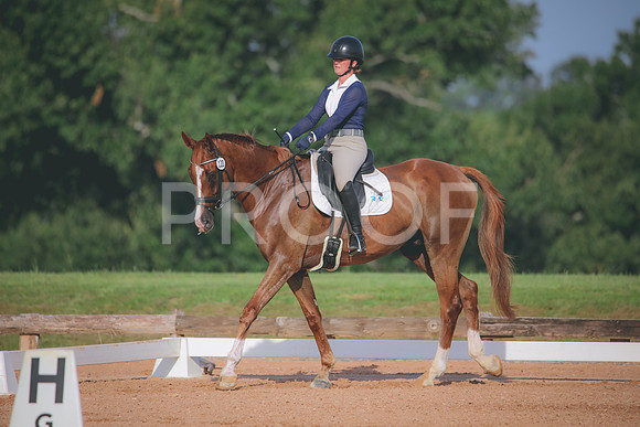 RWP_4434
