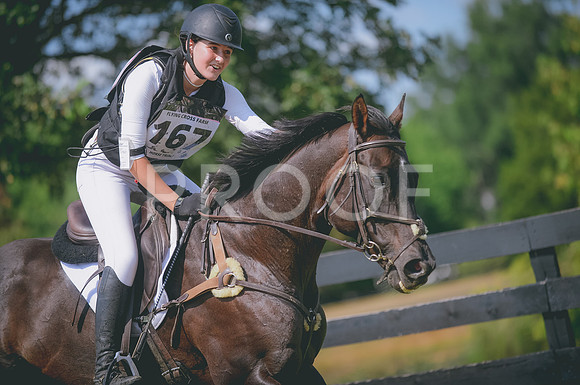 JJS_0995