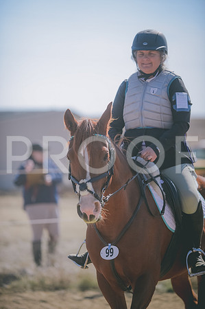 JJS_6419A