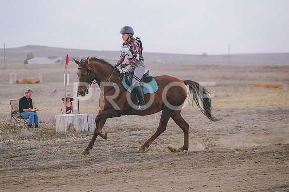 CDH_0279