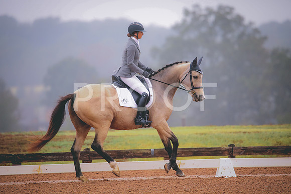RWP_1117