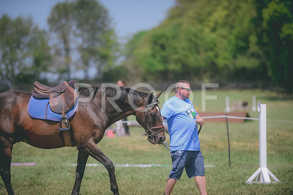 JJS_4737