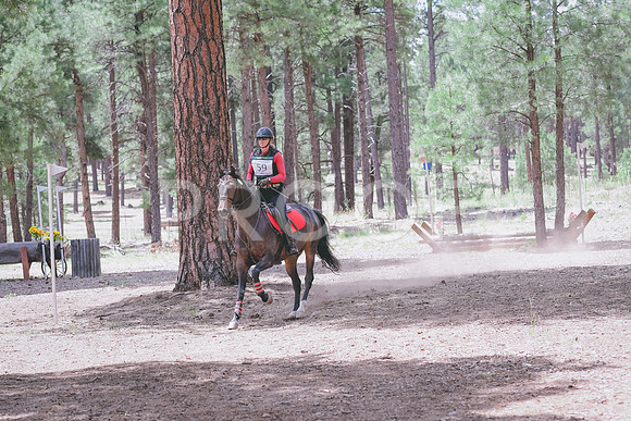 DSC_1826