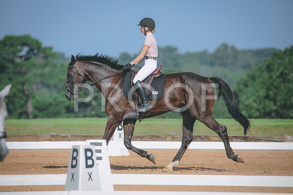 RWP_4656
