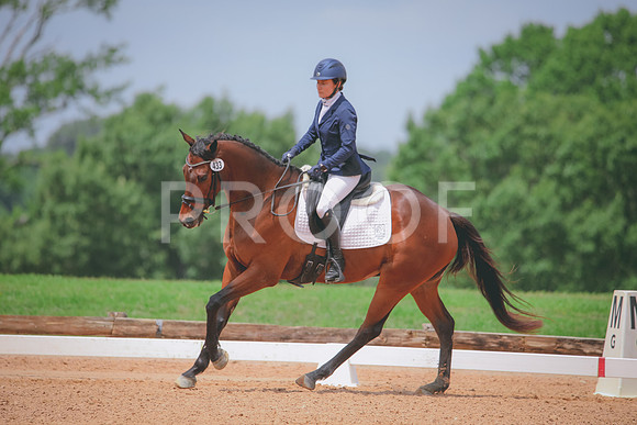 RWP_4548