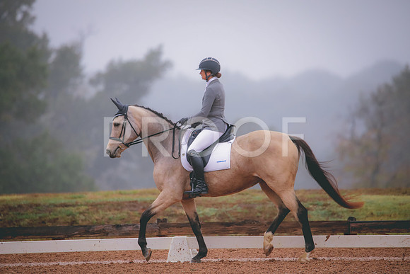 RWP_1119