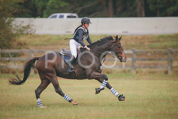 RWP_2664