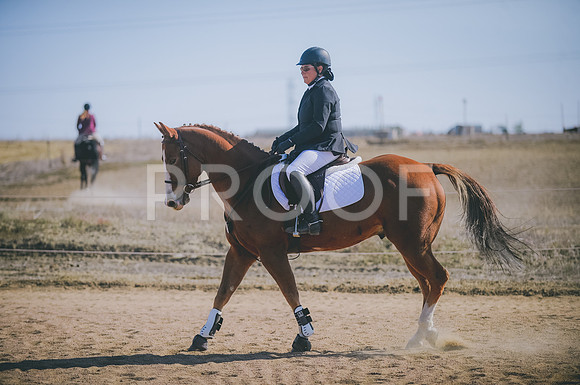 JJS_4177