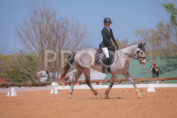 CDP_1589
