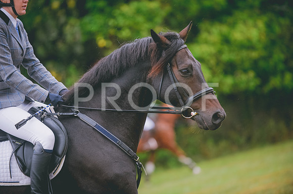 JJS_2814