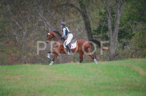 JJS_1103A