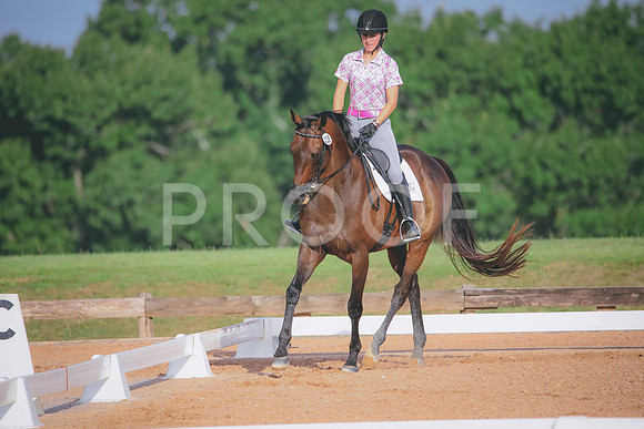 RWP_4347
