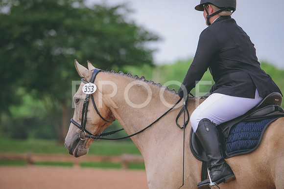 RWP_4481