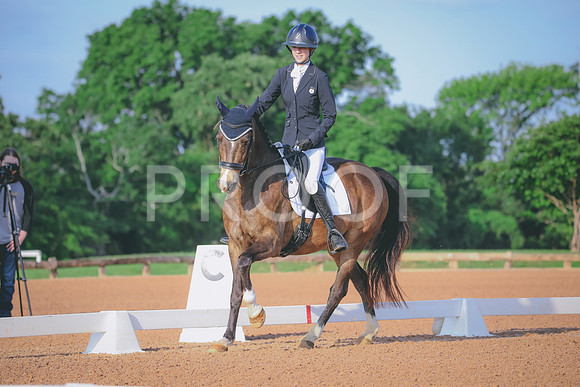 RWP_3701