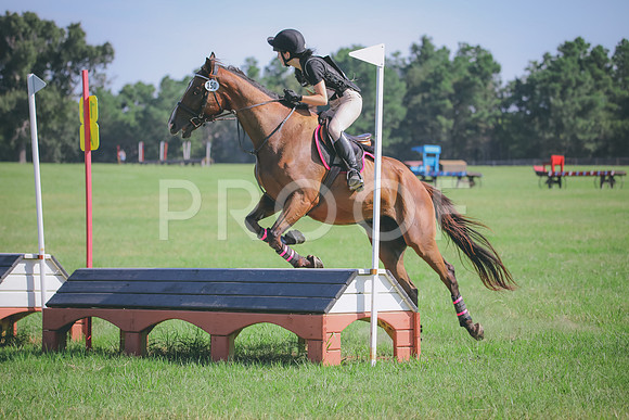RWP_6288