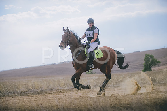 JJS_1361A