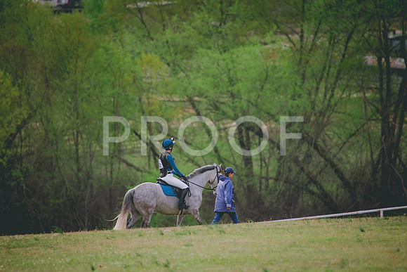 RWP_8486