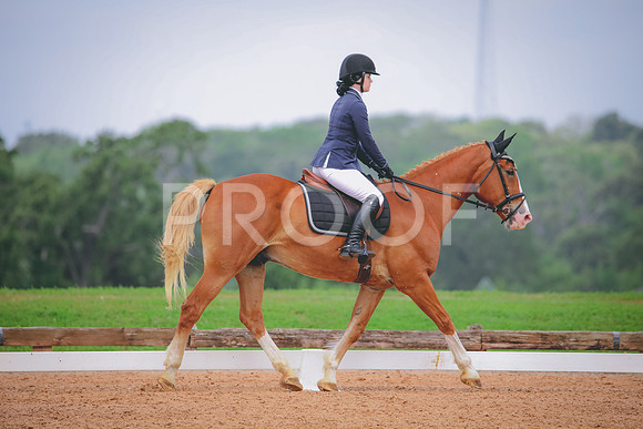 RWP_4216