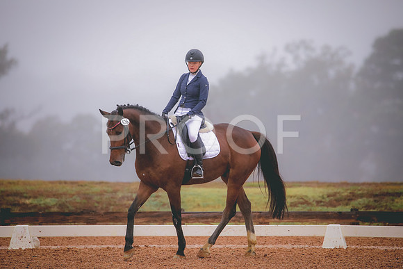RWP_1136
