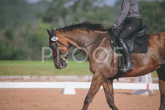 RWP_4523