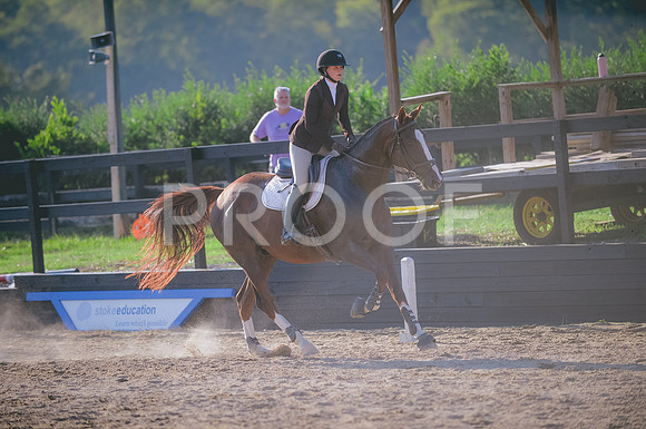 JJS_8631