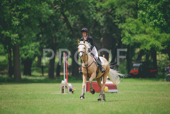 RWP_2232