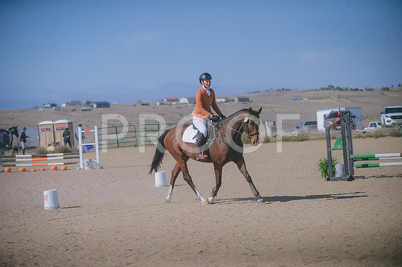 JJS_5341