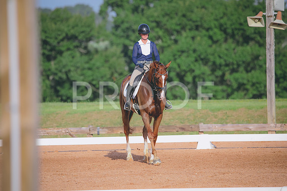 RWP_4419