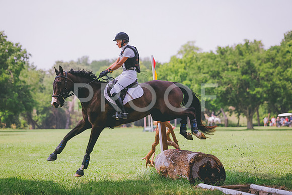 _KP_3541