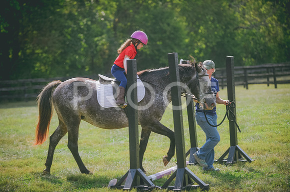 JJS_6434