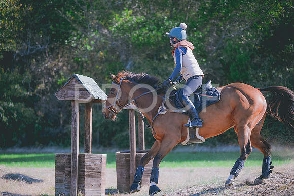 JJS_0565