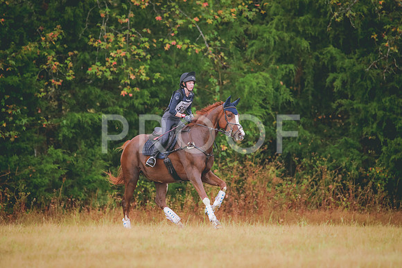 RWP_2016