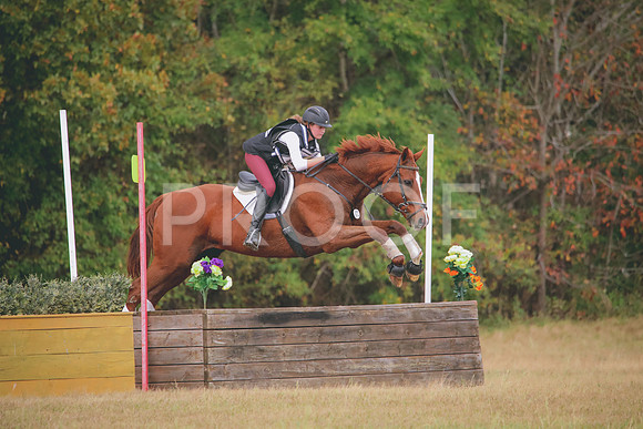 RWP_3441