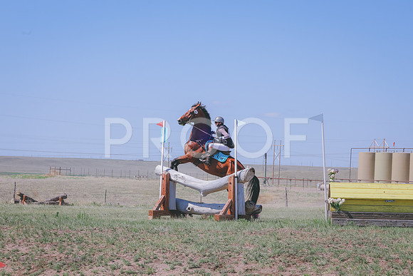 CLSL0352