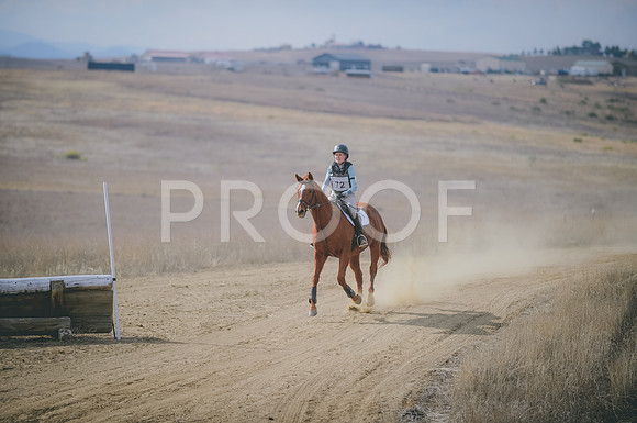 JJS_1790