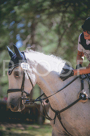 JJS_2968A