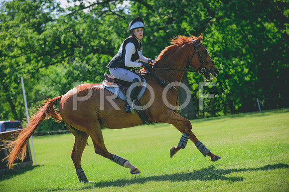 JJS_2316