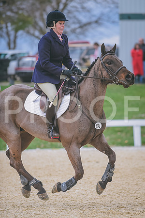DSC_0141 copy