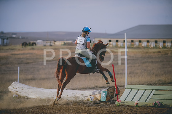 JJS_6251