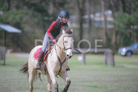 JJS_6745
