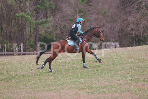 861A7977