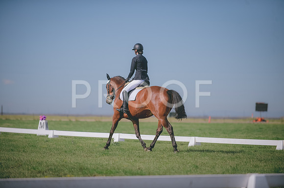 JJS_8417
