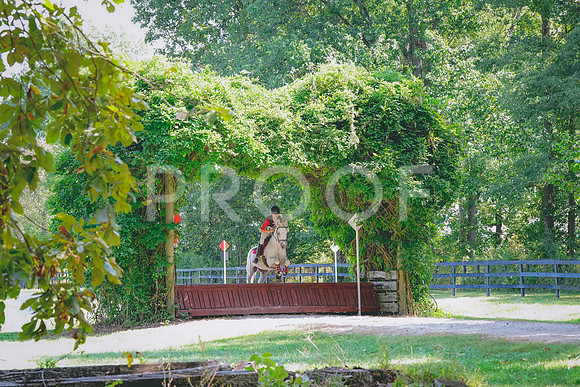 DSC00979
