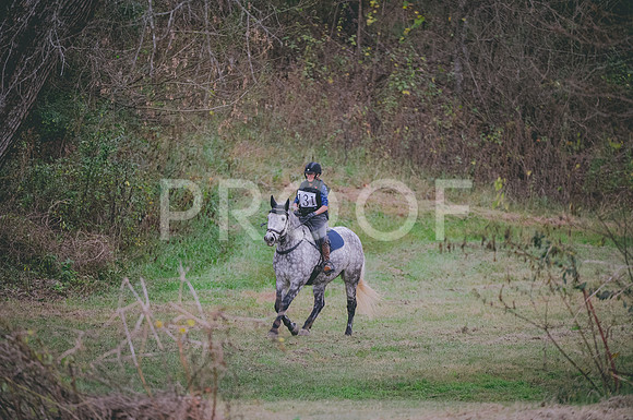 JJS_4653