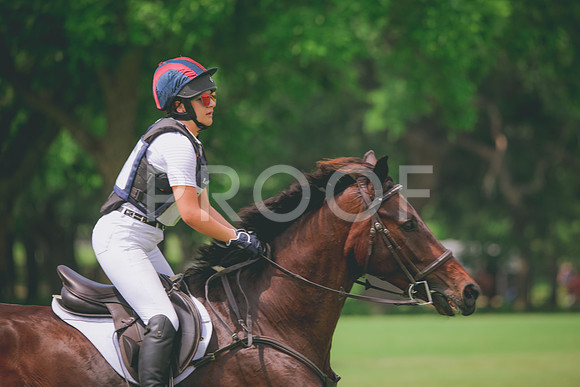 RWP_1159