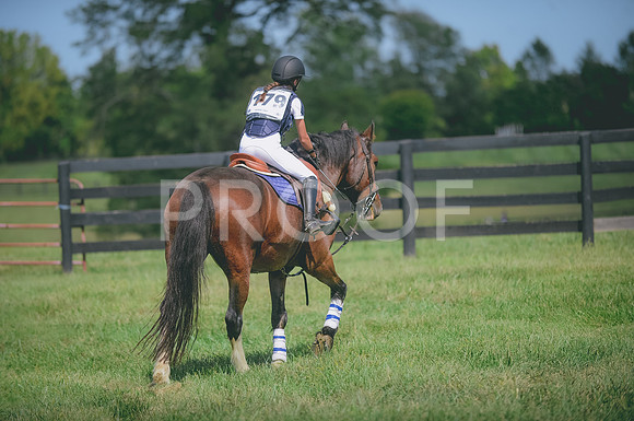 JJS_2037