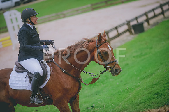 000_3453 copy